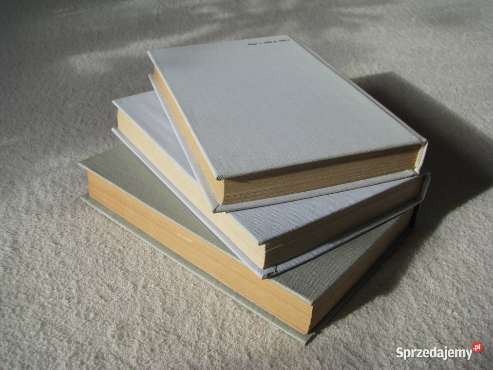 Janusz Meissner Czarna bandera Czerwone krzyże Brzegi