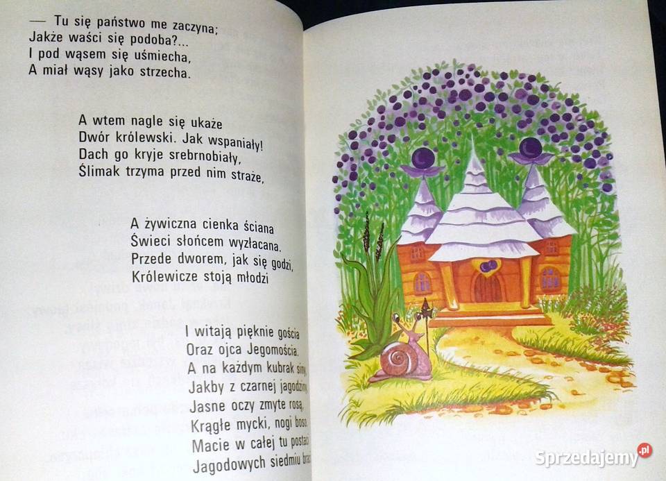 Na jagody Maria Konopnicka miękka