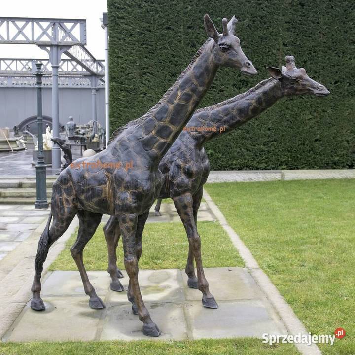 Koń Mustang z brązu Koń z brązu 11 śląskie Katowice sprzedam