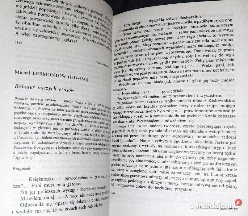 Romantyzm Alicja Badowska Tomasz Przedpełski