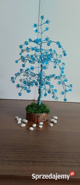 Drzewko szczęścia -bonsai