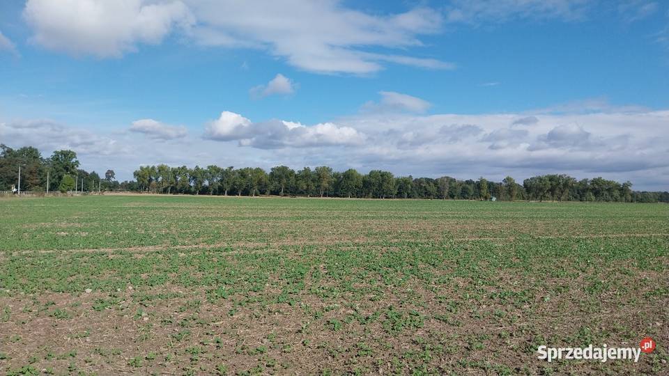 Działka budowlana Sobótka Zachodnia