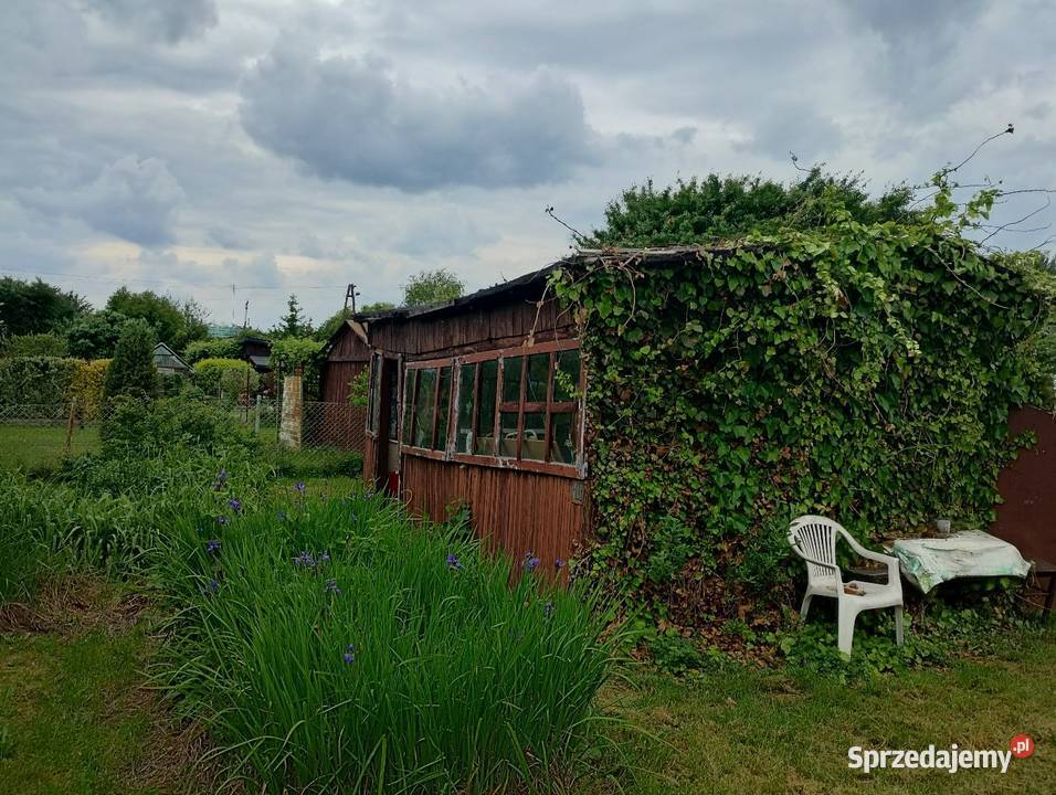 Sprzedam działkę rekreacyjną ROD prąd Sprzedaż mazowieckie Wołomin