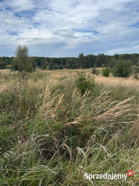 Piękna działka prawdopodobnie jedyna na Morgach Sprzedaż Mysłowice