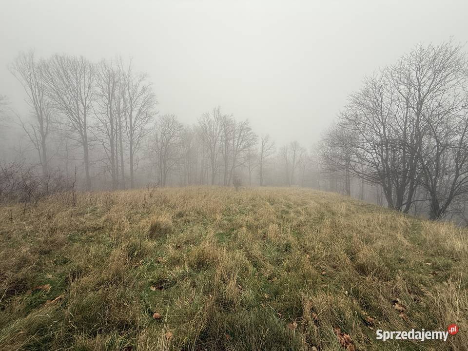 Na sprzedaż wyjątkowa działka 194 ha z domkiem Stoszowice sprzedam