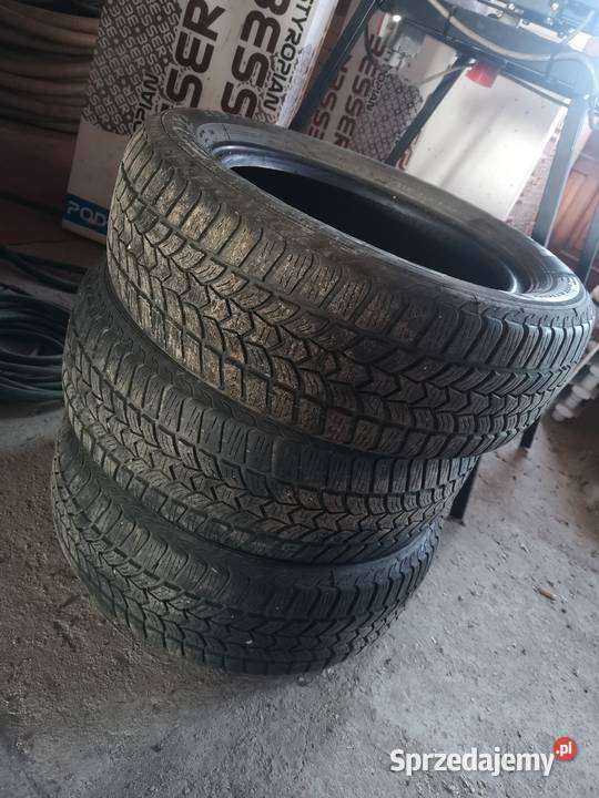 Opony Zimowe Dębica Frigo HP2 20560 R16 96H Skomielna Biała