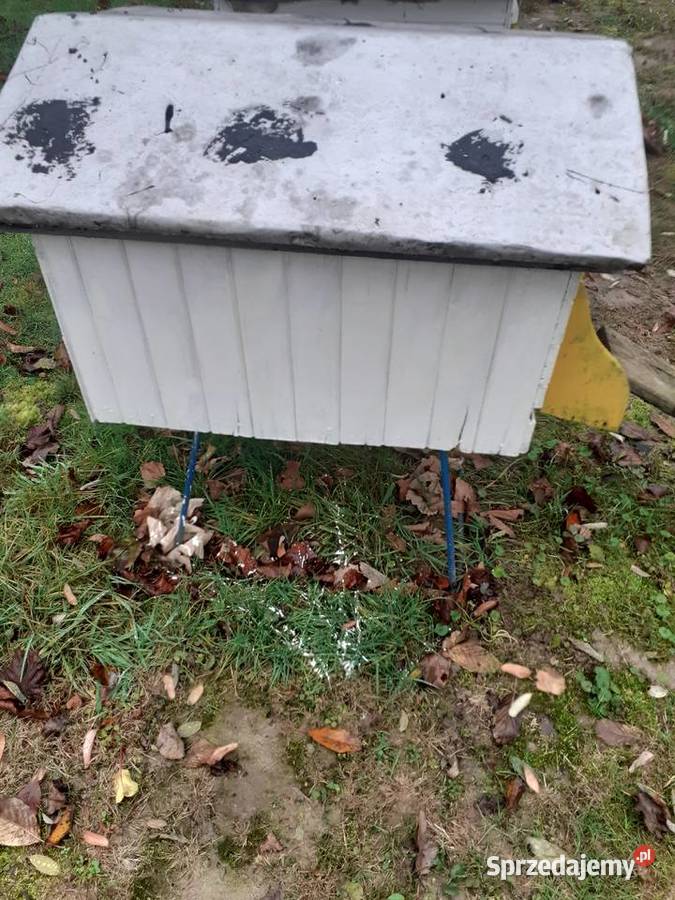 Sprzedam pszczoly z ulami bez uli w 2026r Andrychów