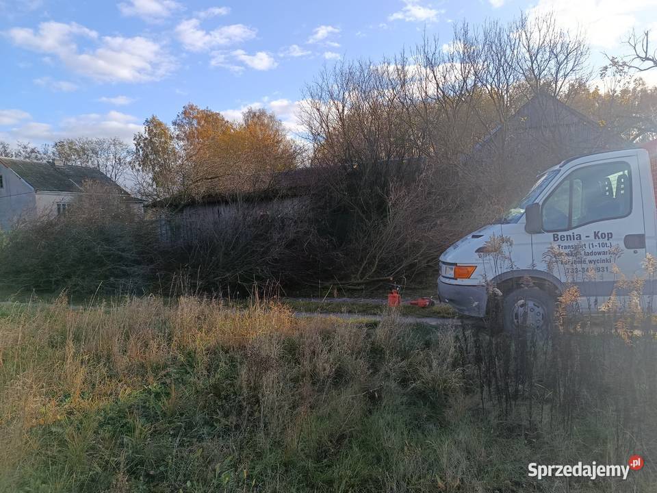 Rębak do gałęzi wycinka drzew mulczer leśny Chęciny