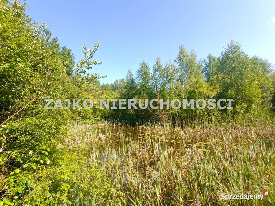 Do sprzedaży działka Nowinka 12445m2 Sprzedajemy.pl
