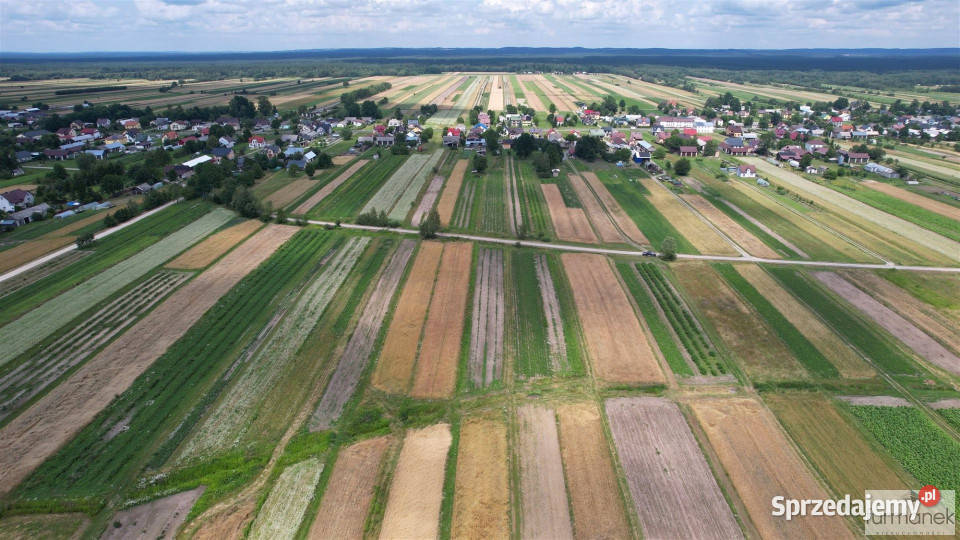 Działka Aleksandrów 2900m2 sprzedam