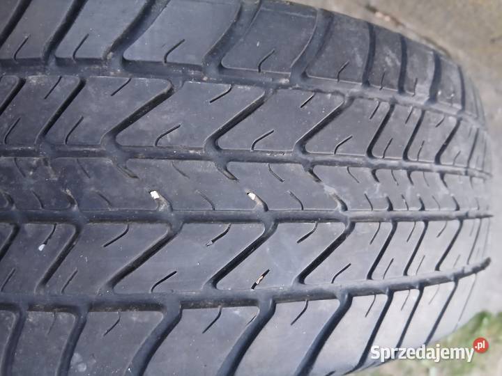 Opona Dębica Presto 18560R14