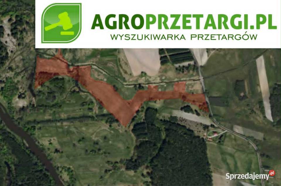 Dzierżawa 459 ha gruntu rolnego Radomsko sprzedam