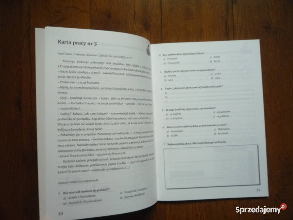 Rozumiem co czytam Karty pracy Klasa 1 2 i 3 język polski Szczecin sprzedam