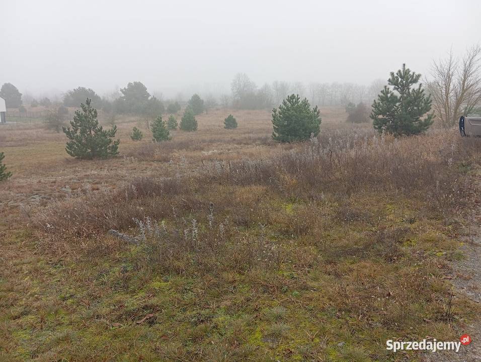 Sprzedam działkę Słubice