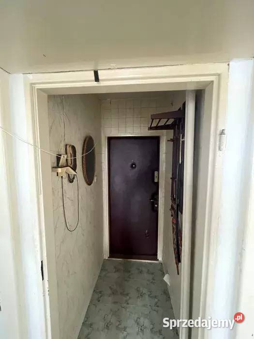 2 pokoje idealne studentów Uniwersytetu i AWF