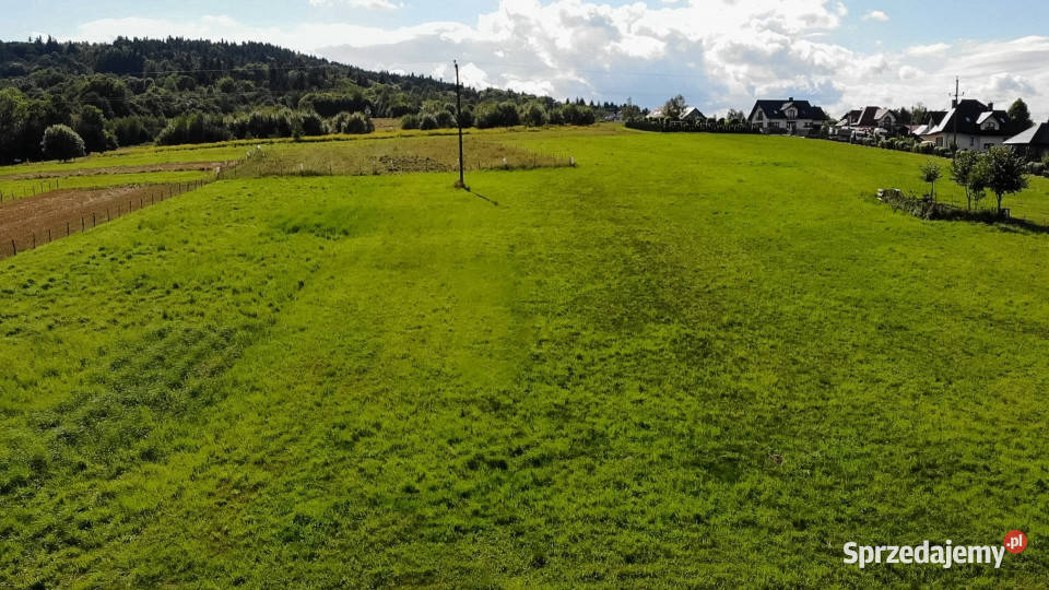 Działka budowlana 1 503 m MPZP MN małopolskie Skawinki