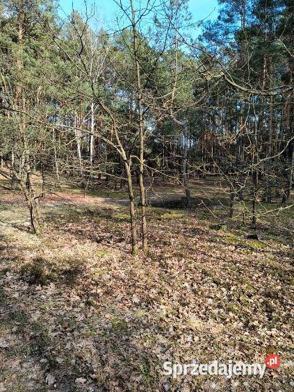 Syndyk sprzeda udział 25 w nieruchomości w Woli Wola Ducka