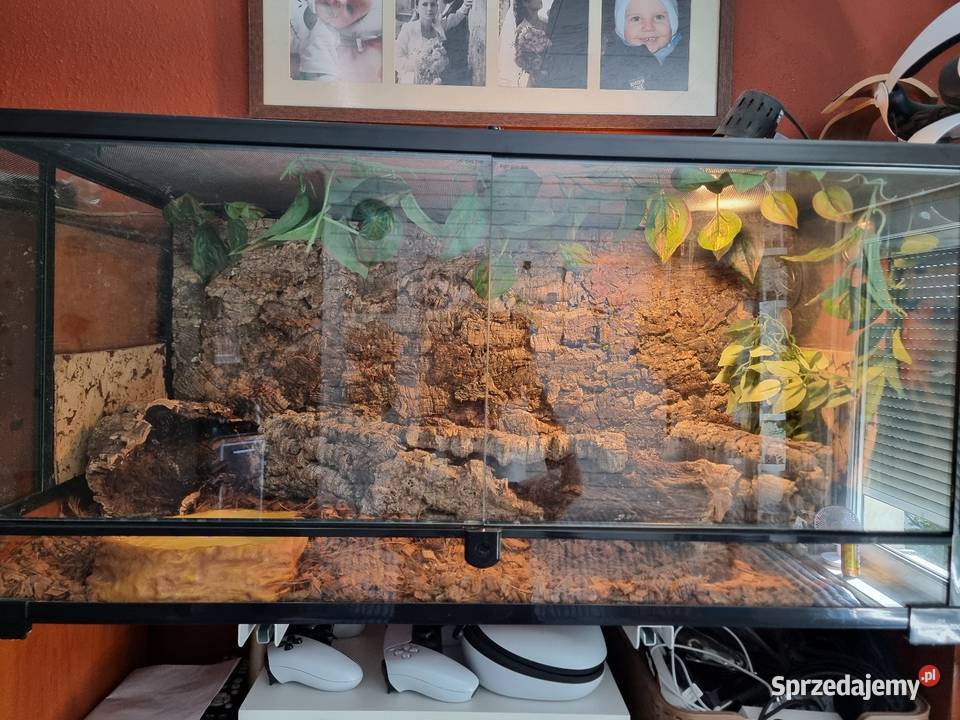 Terrarium Reptii Zoo 9045 z wyposażeniem Opole