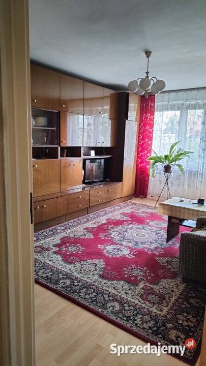 Mieszkanie 50 m2 Kielce Urzędnicza na sprzedaż sieć