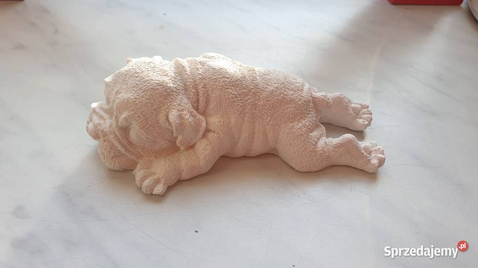 Pies z gipsu Dekoracje i ozdoby Łódź