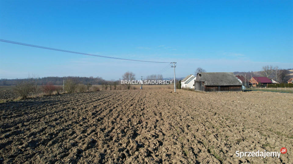 Grunt Szczurowa 2579m2 szambo