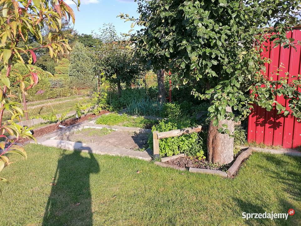 Działka ROD Fiołek Wrocław