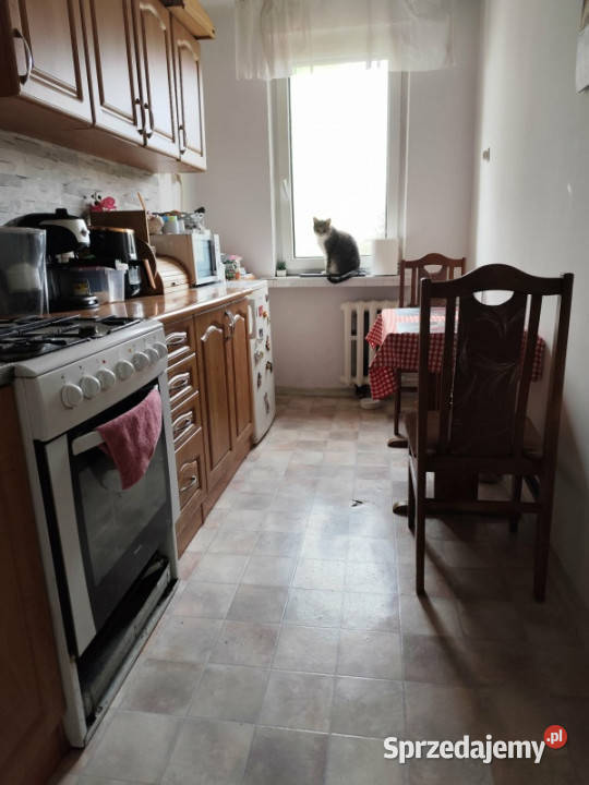 Sprzedam mieszkanie szkolna