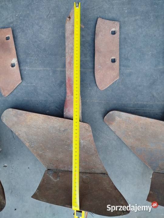 Przedpłużki pługa zagonowego Polskiego Strzelno