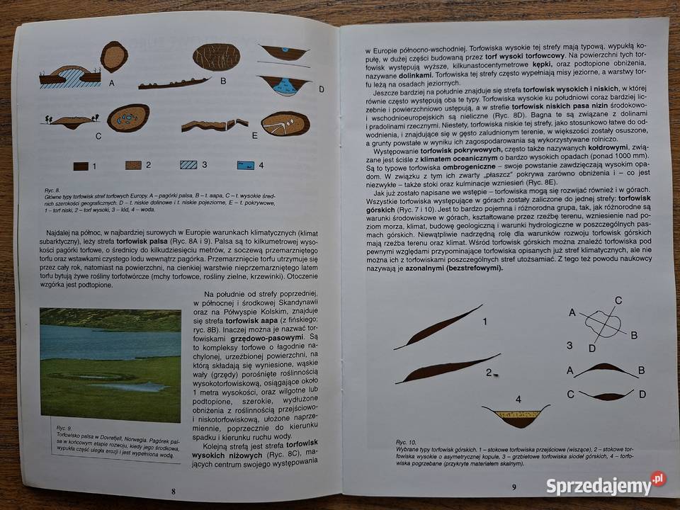 Torfowiska Karkonoszy Natura 2000 w Karkonoskim Kraków
