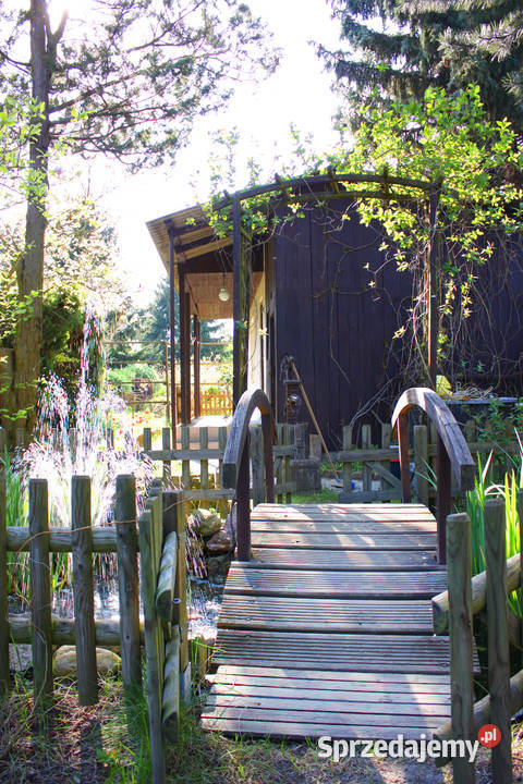 Zadbana działka ROD Ławica sprzedam