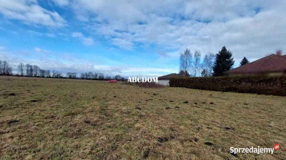 Cholerzyn działki budowlane 165 ara 1650m2 sprzedam