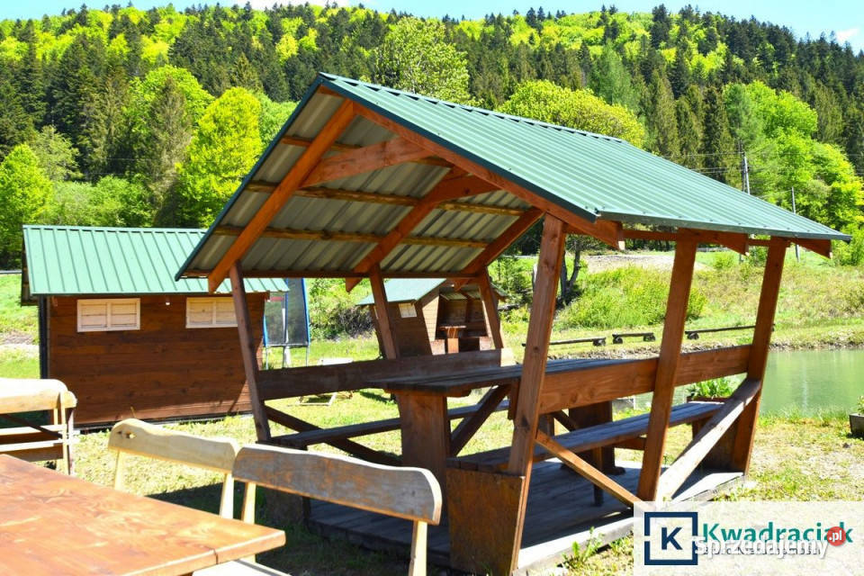 Działka 11659m2 Krzywe 11659m2