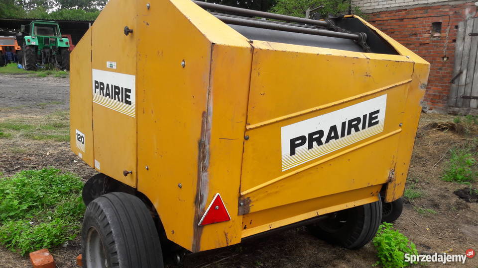 prasa carraro kujawsko-pomorskie Rojewo