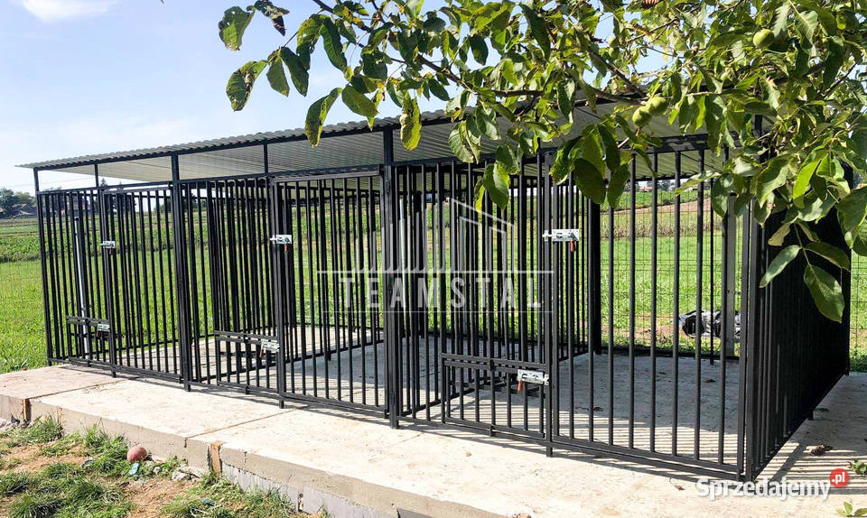 Kojec Psa 3w1 6x2m Klatka XXL 3 stanowiska TS657 Dla psów Zwierzęta Kraków