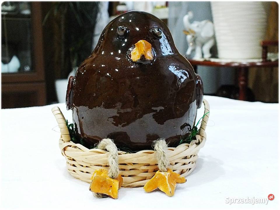 Duże grube ptaszysko Boczunio w gnieździe szuka brązowy lubuskie