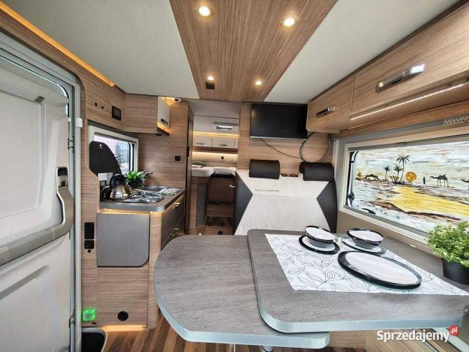 samochody kempingowe Weinsberg CaraCompact Suite Gaj