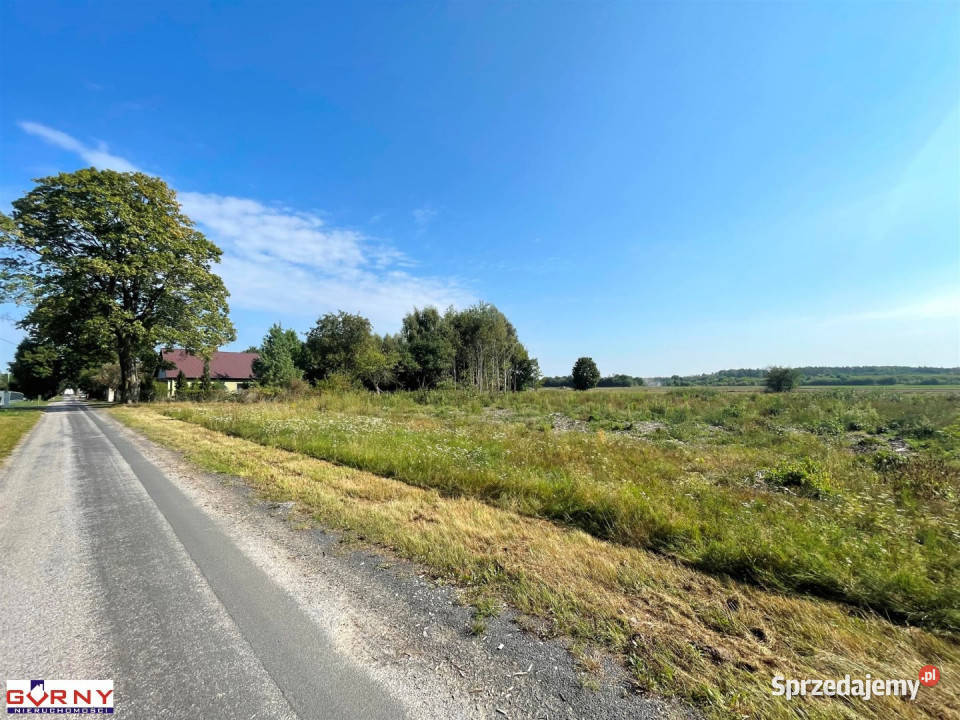 Działka 7400m2 Mniszków 69m