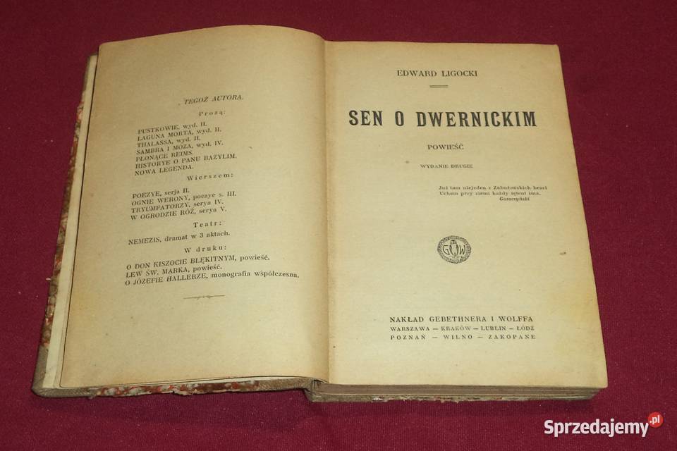 Stara książka 1883 do Piekary Śląskie sprzedam