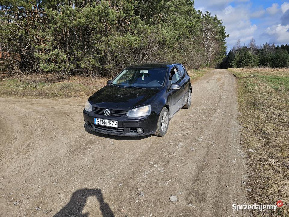 Golf 5 19tdi 2006r Emilia