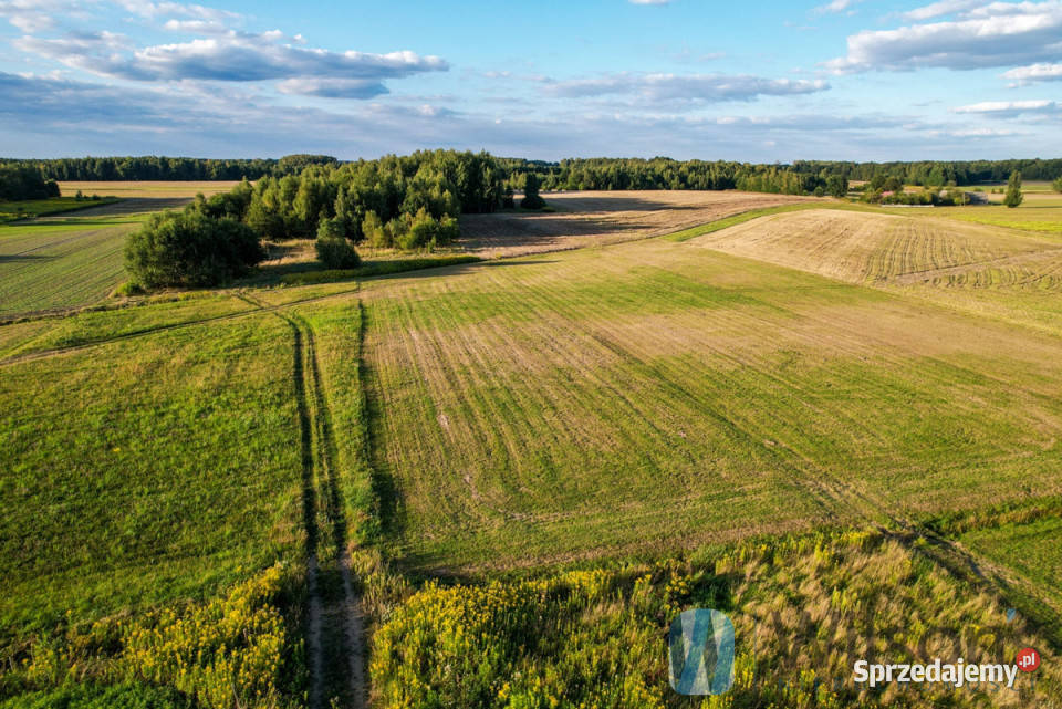 sprzedaży gruntu 876m2 Pilawa 876m2
