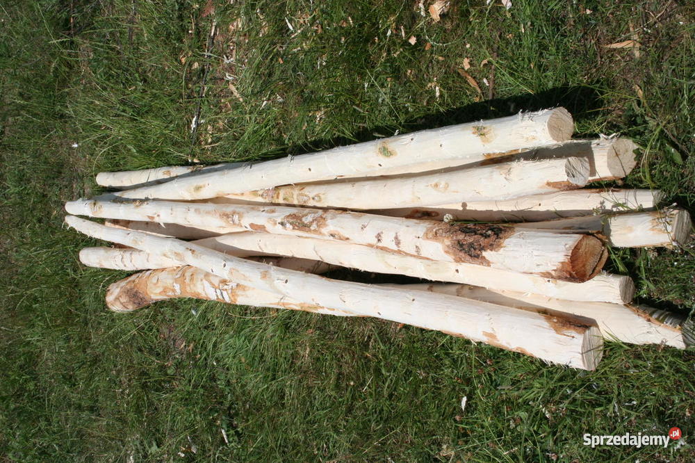 Korowanie drewna produkcja słupków ogrodzeniowyc Gdańsk sprzedam