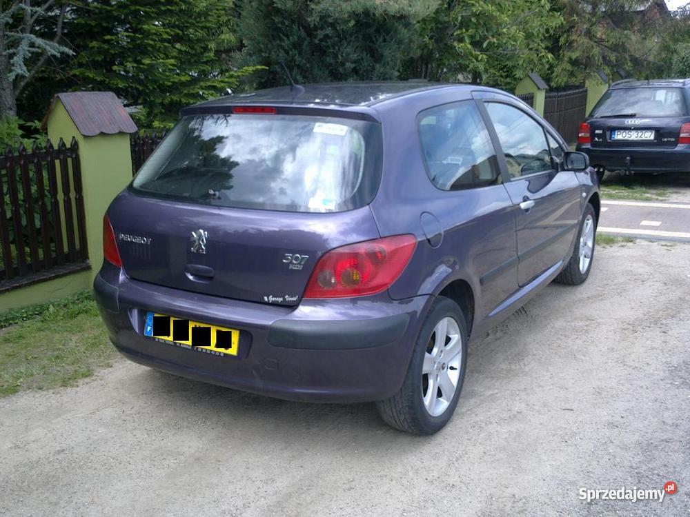 Peugeot 307 wielkopolskie