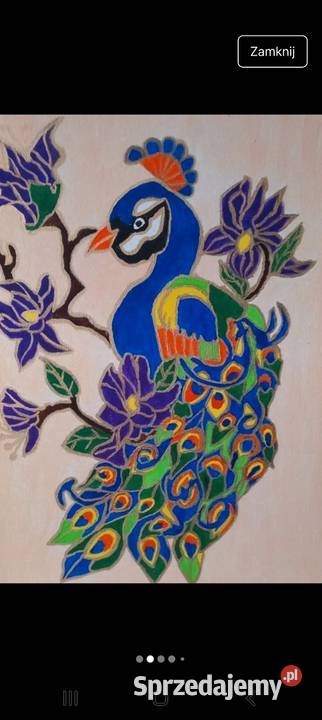 Obraz PAWIA 30x40 kujawsko-pomorskie Bydgoszcz