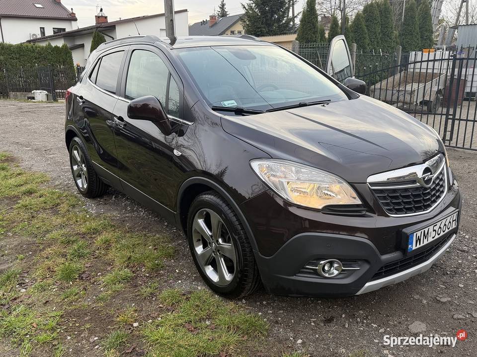 Mokka Cosmo Rok produkcji 2013 Mokka Stojadła sprzedam