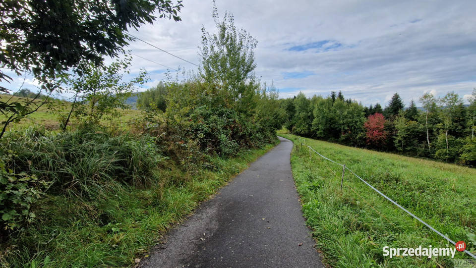 sprzedaży gruntu Zegartowice 19800m2