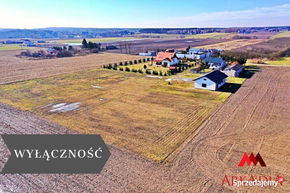 sprzedaży działki Skórzno 1411m2