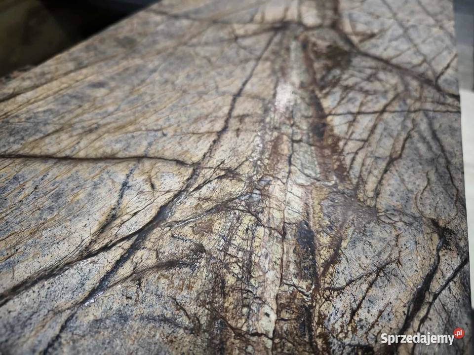 Płytki Marmur Rain Forest Brown szczotkowany