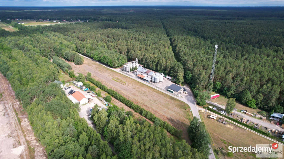Grunt 1447m2 Dąbrowica sprzedam