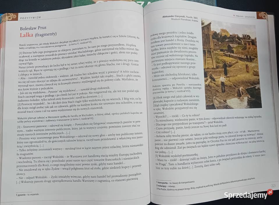 Język polski Oblicza epok 21 i 22 całość Wydanie Koźminek sprzedam