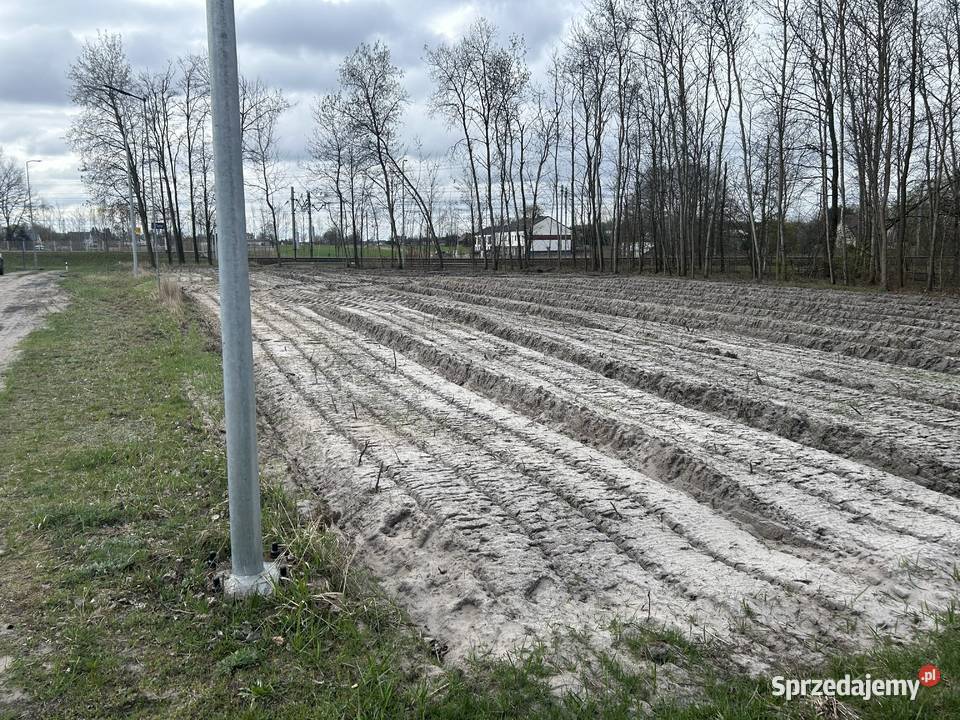 Sprzedam działkę budowlaną UkMN 1350 m2 Cisie sprzedam